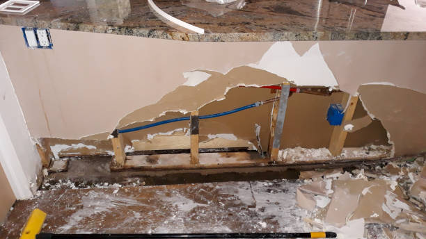 Best Flood restoration services  in Jamestown, KY
