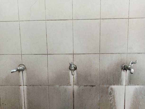 Best Carpet water damage restoration  in Jamestown, KY