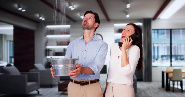 Best 24/7 water damage repair  in Jamestown, KY