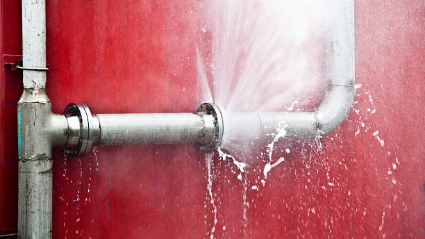 Best Sewage cleanup and water damage restoration  in Jamestown, KY